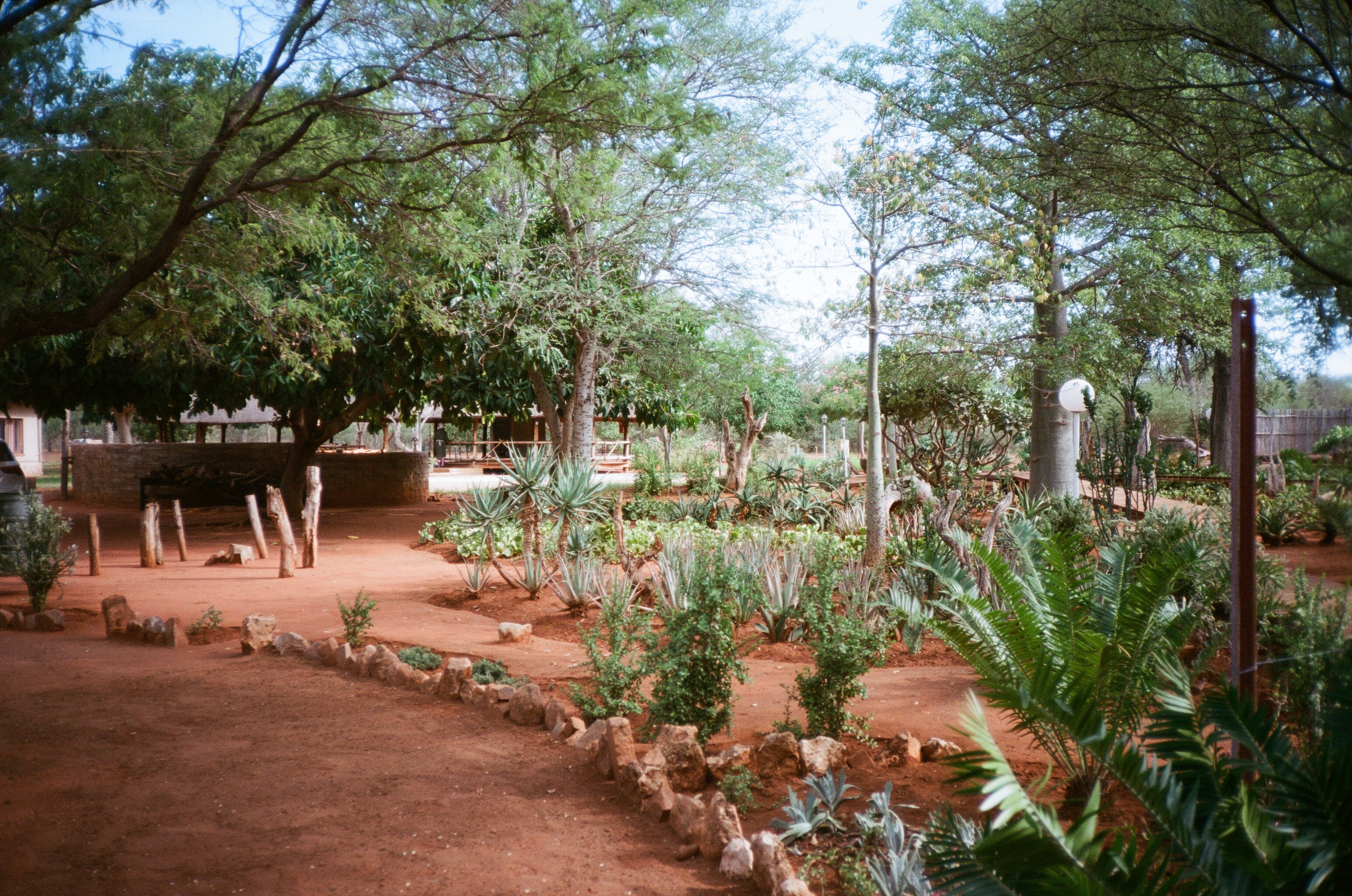 Northern South African bush